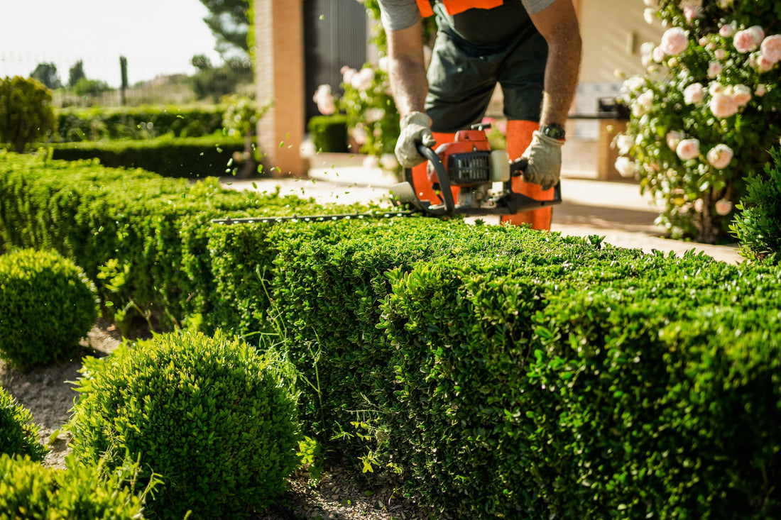 Préparez votre maison pour l'été avec Groupe Multinet